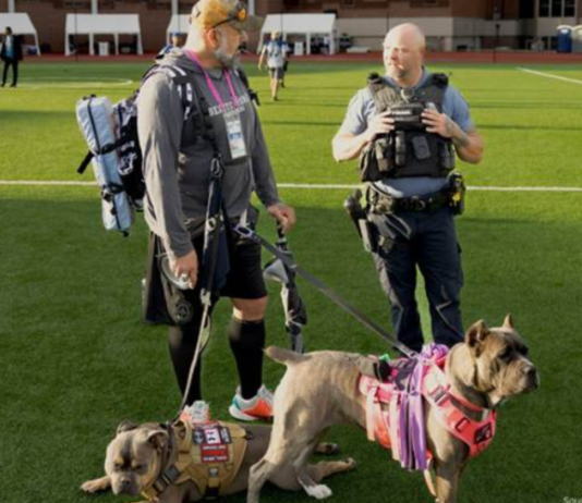 Is the Dog Service Market Howling for Innovation in 2025? dog-service-market-in-2025