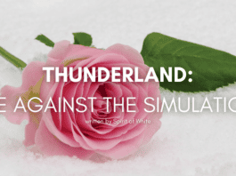 thunderland-me-against-the-simulation