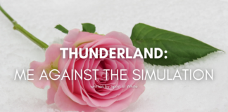 Thunderland: Me Against The Simulation thunderland-me-against-the-simulation