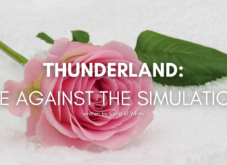 thunderland-me-against-the-simulation