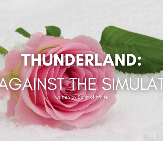 thunderland-me-against-the-simulation