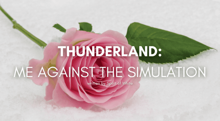thunderland-me-against-the-simulation