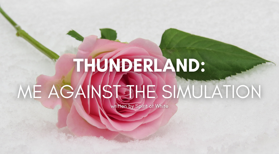 thunderland-me-against-the-simulation