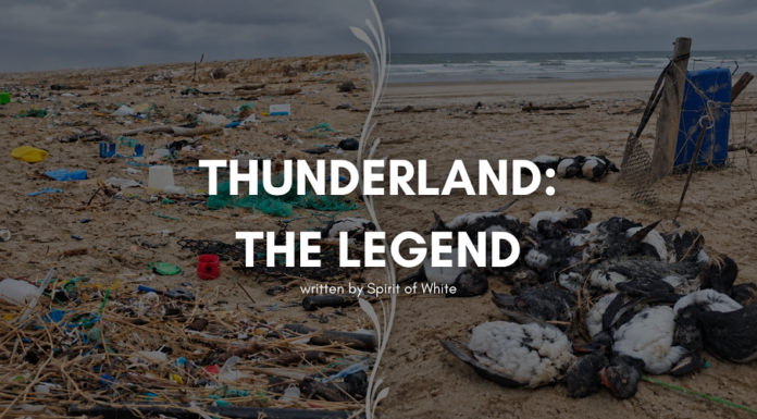 Thunderland The Legend Secret Operation Code Fra-SS-1111-LLL thunderland-the-legend